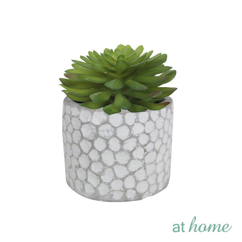 Cara Artificial Succulent Potted Plant
