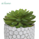 Cara Artificial Succulent Potted Plant