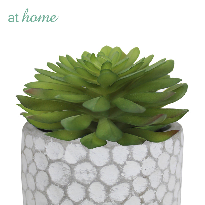Cara Artificial Succulent Potted Plant