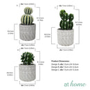 Carmen Artificial Succulent Potted Plant