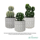 Carmen Artificial Succulent Potted Plant