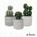 Carmen Artificial Succulent Potted Plant