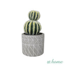 Carmen Artificial Succulent Potted Plant