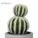 Carmen Artificial Succulent Potted Plant