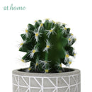 Carmen Artificial Succulent Potted Plant
