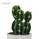 Carmen Artificial Succulent Potted Plant