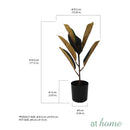 Ceris Artificial Rubber Tree Potted Plant