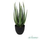 Chad Artificial Rubber Tree Potted Plant