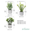 Caren Artificial Succulent Potted Plant