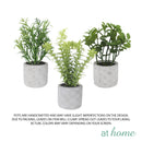 Caren Artificial Succulent Potted Plant