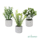 Caren Artificial Succulent Potted Plant