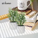 Caren Artificial Succulent Potted Plant