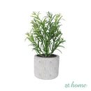 Caren Artificial Succulent Potted Plant