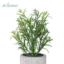 Caren Artificial Succulent Potted Plant