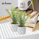 Caren Artificial Succulent Potted Plant