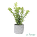 Caren Artificial Succulent Potted Plant