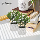 Caren Artificial Succulent Potted Plant