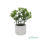 Caren Artificial Succulent Potted Plant