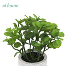 Caren Artificial Succulent Potted Plant