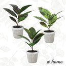 Cael Artificial Rubber Tree Potted Plant