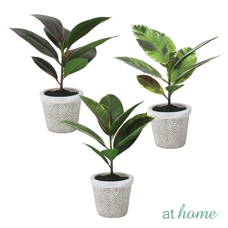 Cael Artificial Rubber Tree Potted Plant