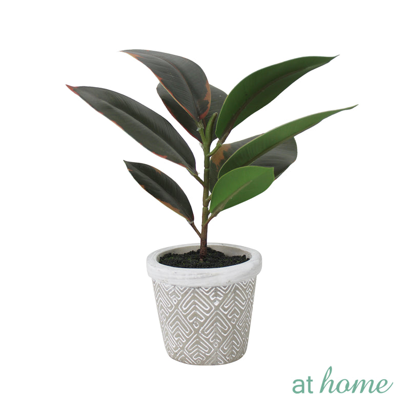 Cael Artificial Rubber Tree Potted Plant