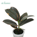 Cael Artificial Rubber Tree Potted Plant