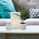 Cael Artificial Rubber Tree Potted Plant