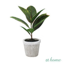 Cael Artificial Rubber Tree Potted Plant