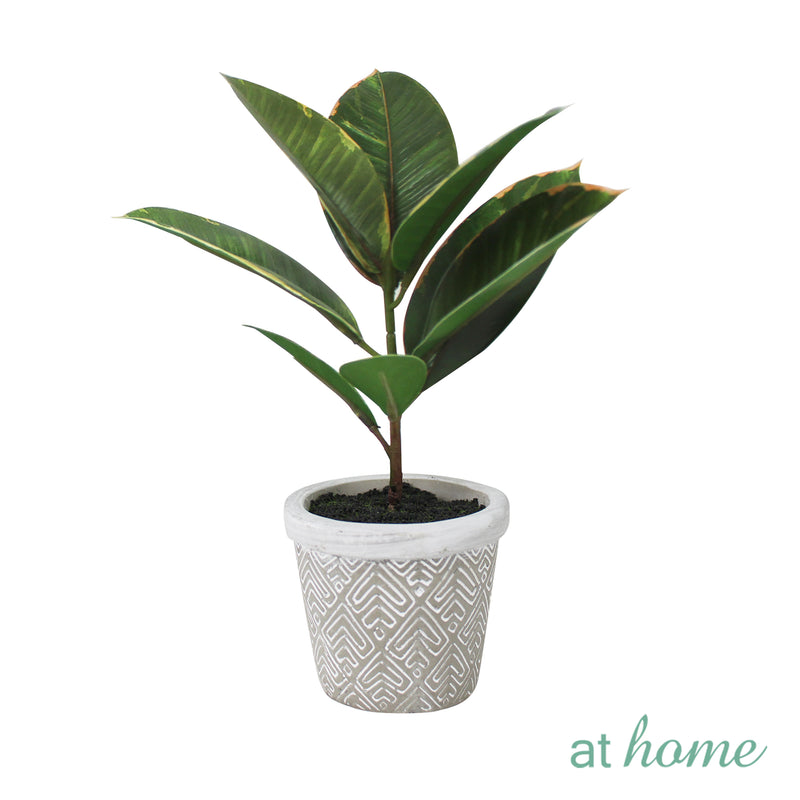 Cael Artificial Rubber Tree Potted Plant