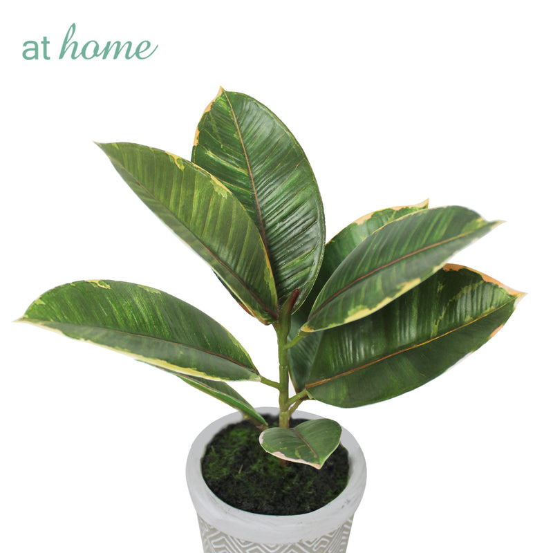 Cael Artificial Rubber Tree Potted Plant