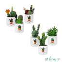 Cavalli Artificial Cactus Potted Plant
