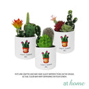 Cavalli Artificial Cactus Potted Plant