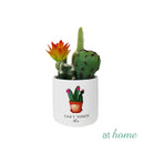 Cavalli Artificial Cactus Potted Plant