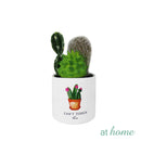 Cavalli Artificial Cactus Potted Plant