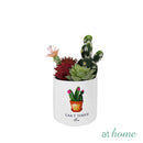 Cavalli Artificial Cactus Potted Plant