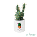Callisto Artificial Cactus Potted Plant