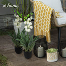 Courtney Artificial Bell Flower Potted Plant