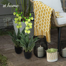 Courtney Artificial Bell Flower Potted Plant