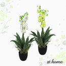 Courtney Artificial Bell Flower Potted Plant