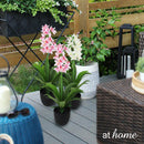 Curtis Artificial Orchid Flower Potted Plant