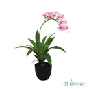 Curtis Artificial Orchid Flower Potted Plant