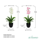 Curtis Artificial Orchid Flower Potted Plant