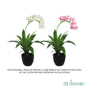 Curtis Artificial Orchid Flower Potted Plant
