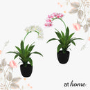 Curtis Artificial Orchid Flower Potted Plant