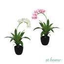 Curtis Artificial Orchid Flower Potted Plant