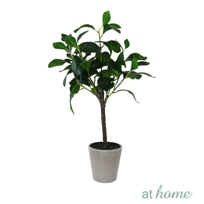 Ceris Artificial Rubber Tree Potted Plant