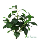 Ceris Artificial Rubber Tree Potted Plant