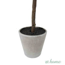 Ceris Artificial Rubber Tree Potted Plant