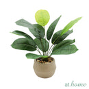 Hachi Artificial Potted Plant